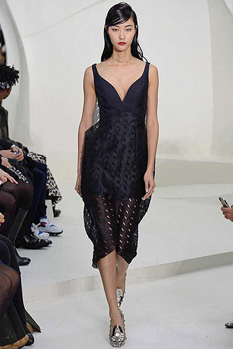 Fashion_Brands_Christian Dior_13583 - Paris Fashion Week