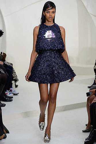 Fashion_Brands_Christian Dior_13587 - Paris Fashion Week