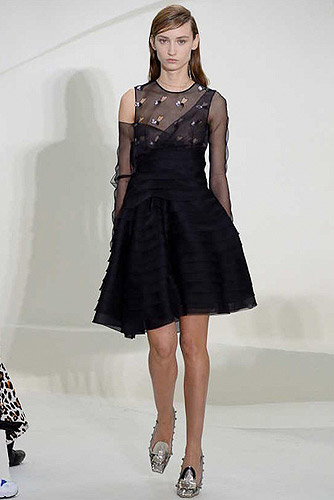 Fashion_Brands_Christian Dior_13588 - Paris Fashion Week