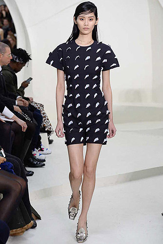 Fashion_Brands_Christian Dior_13590 - Paris Fashion Week